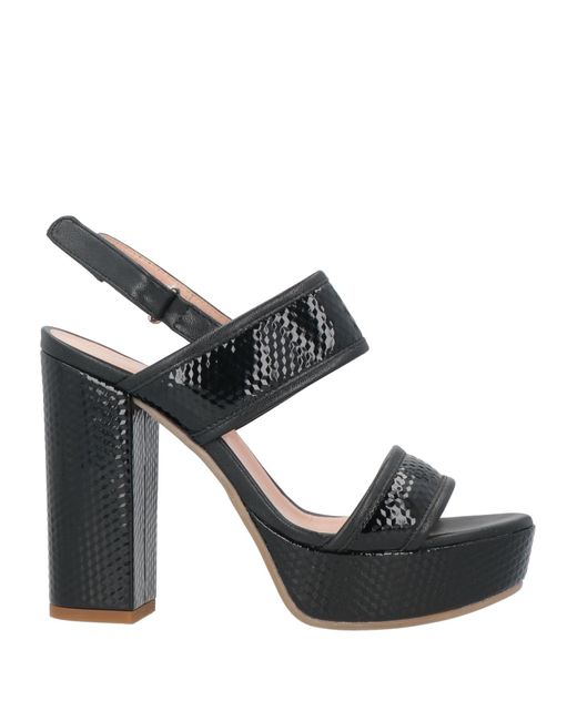 Studio Pollini Black Sandals