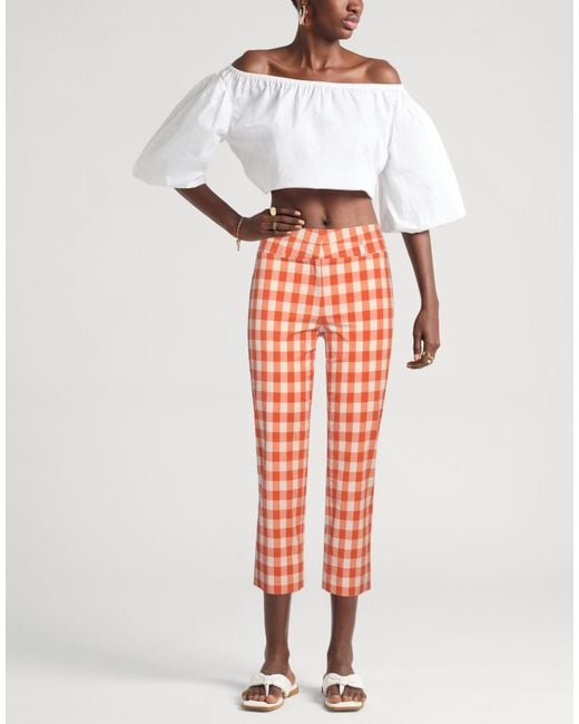 Incotex Orange Pants Cotton, Elastane