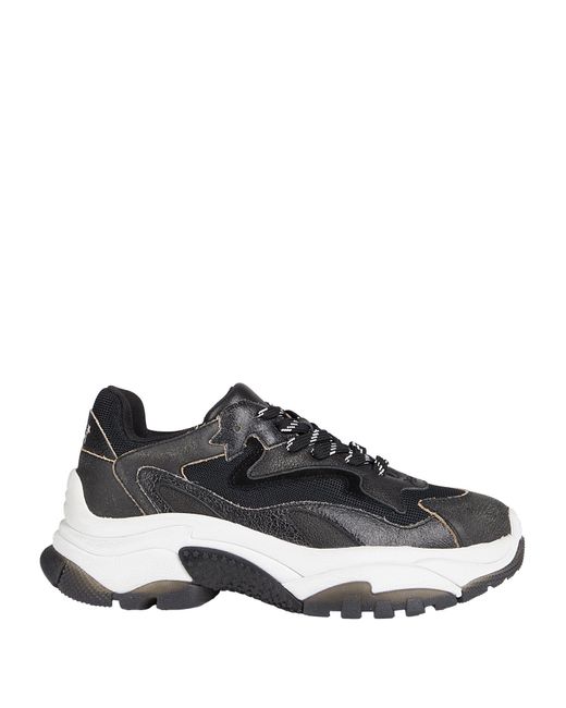 Ash Black Trainers