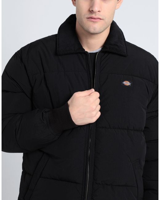 Dickies Black Puffer for men