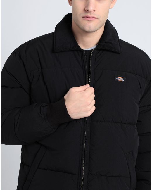 Dickies Black Puffer for men