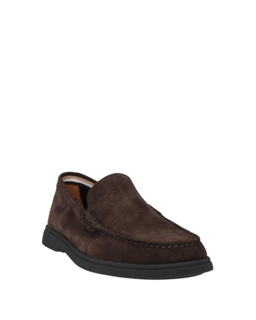 Boss Brown Loafers for men