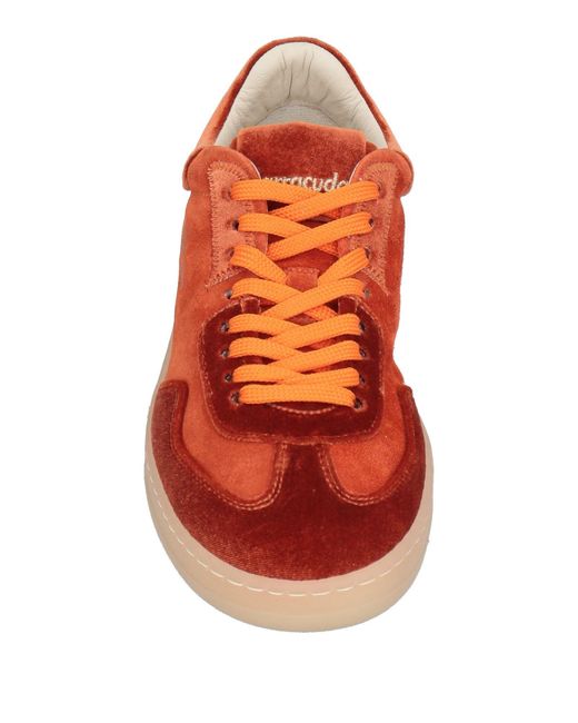 Barracuda Red Sneakers