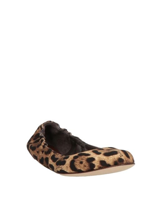 Dolce & Gabbana Brown Ballet Flats