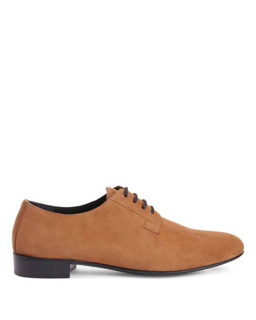 Chaussures oxford Roger à lacets Giuseppe Zanotti pour homme en coloris Brown