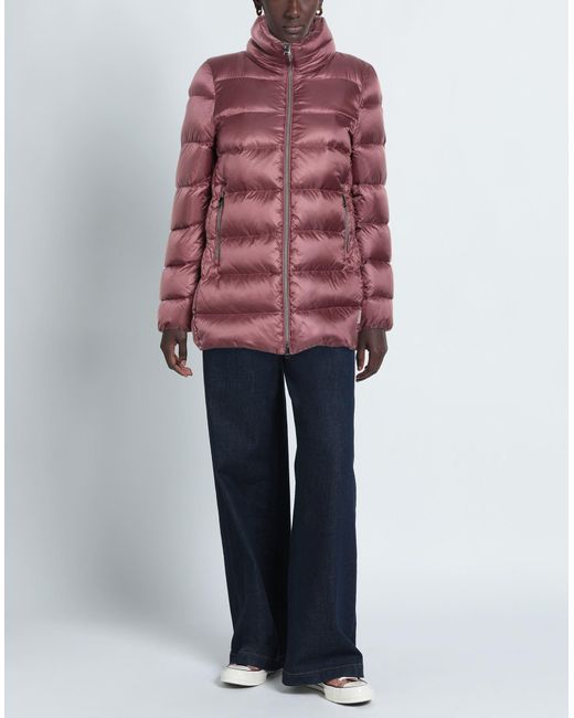 Jan Mayen Purple Puffer