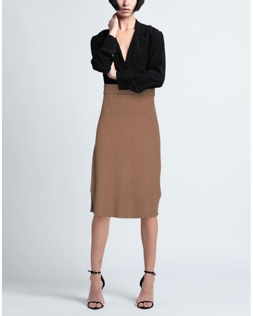 Max Mara Brown Midi Skirt
