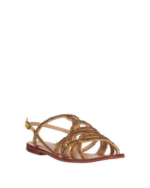 Maliparmi Brown Sandals