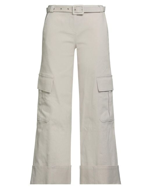 Siedres Gray Trouser