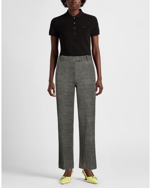 Circolo 1901 Gray Pants Cotton, Elastane