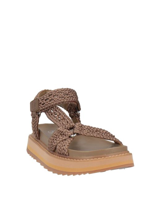 Ash Brown Sandale