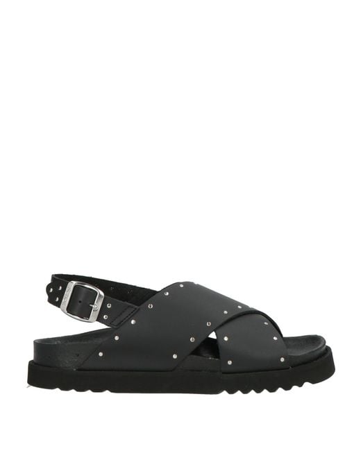 Scholl Black Sandals