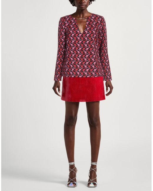 Hanita Red Top