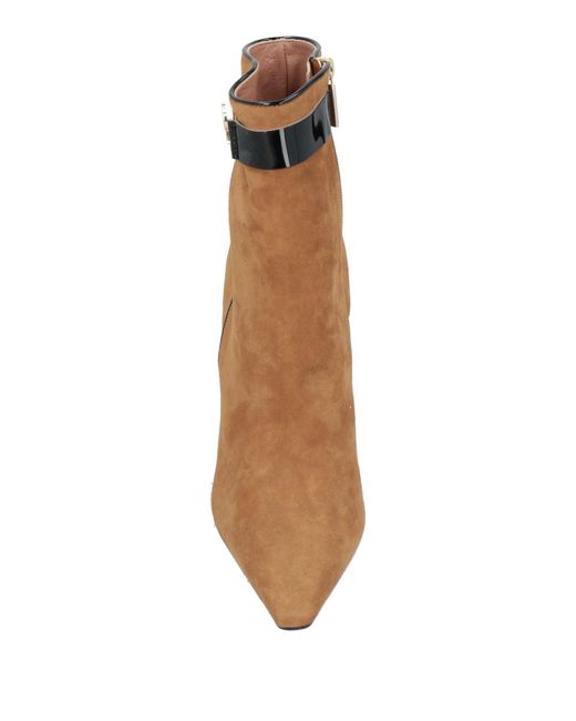 Pollini Brown Ankle Boots