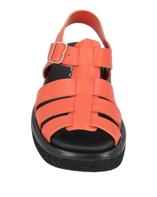 Seboy's Red Sandals