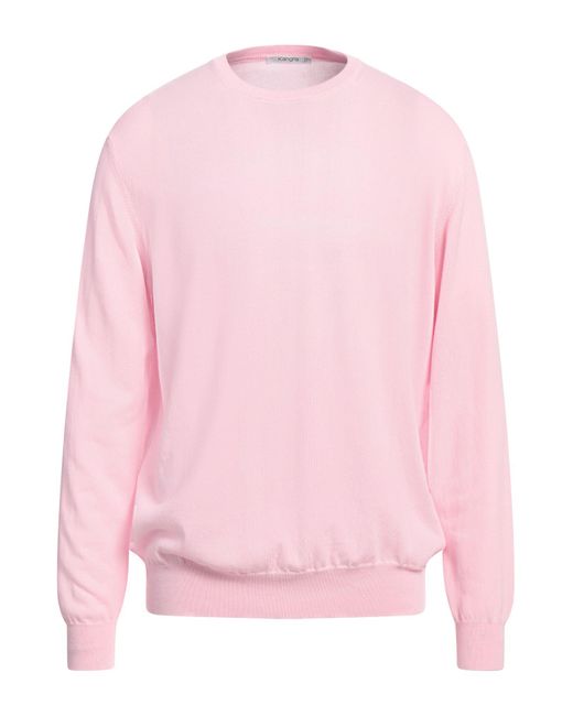 Kangra Pink Sweater Cotton for men