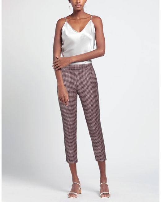 Carla G Purple Trouser