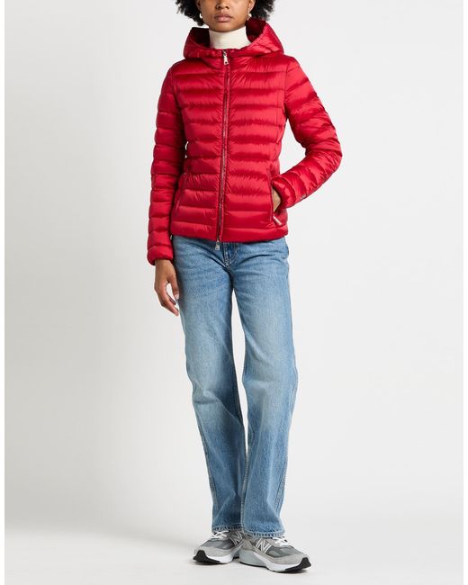 Add Red Puffers