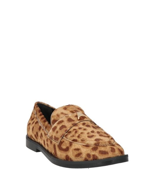 Carrano Brown Loafer