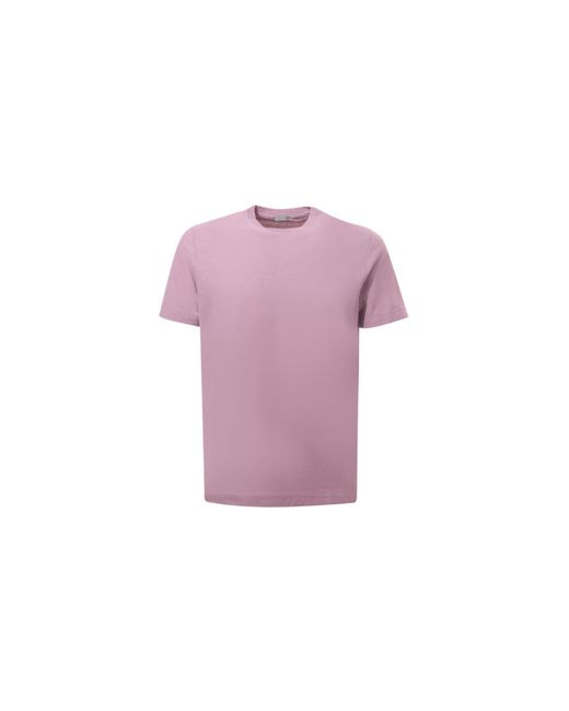 Zanone T-shirts in Purple für Herren