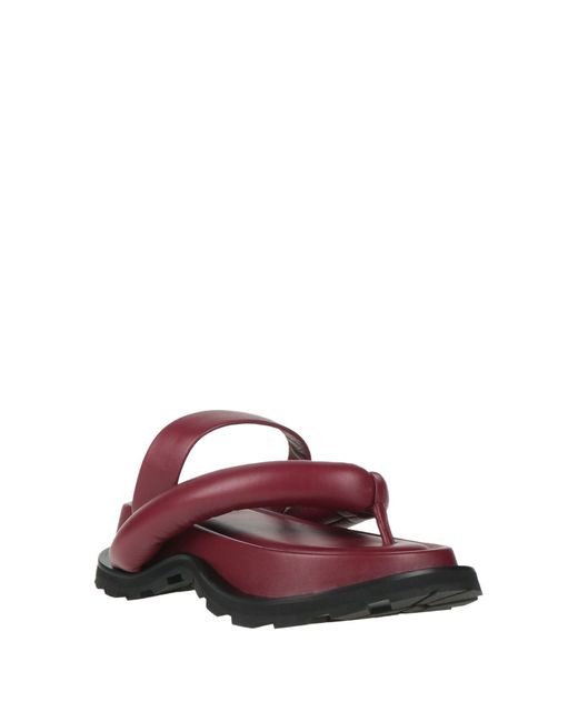 Jil Sander Purple Thong Sandal
