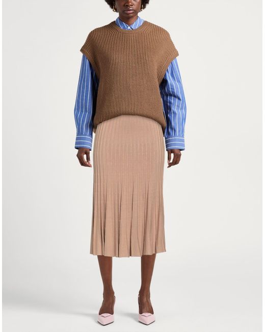 Elisabetta Franchi Natural Midi Skirt