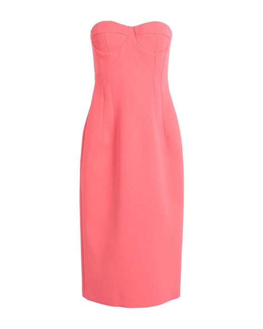 MAX&Co. Pink Midi Dress