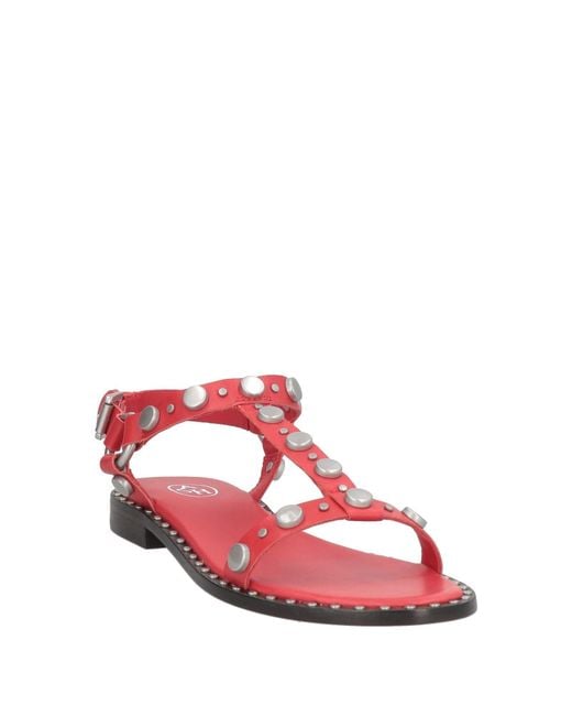 Ash Pink Sandals