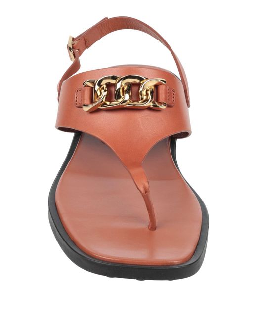 Tod's Brown Thong Sandal
