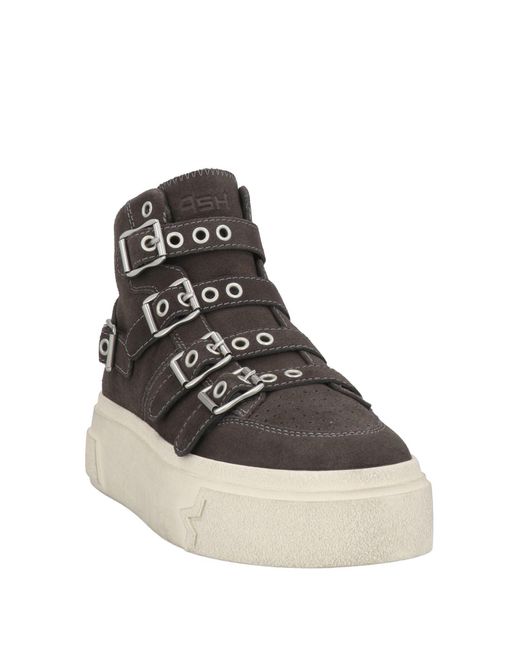 Ash Black Trainers