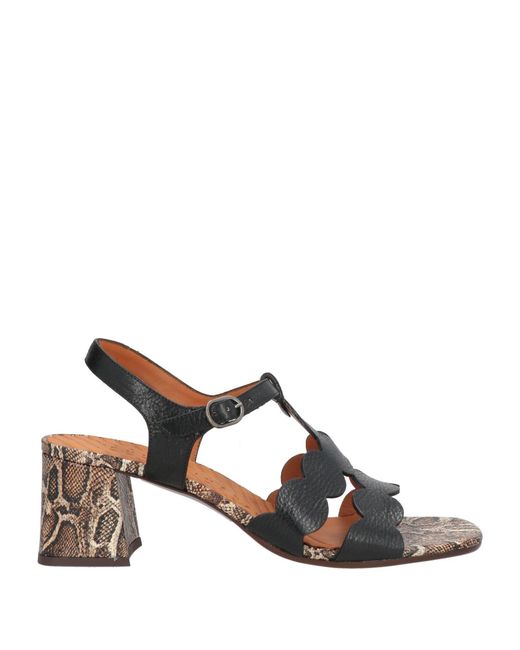 Chie Mihara Black Sandals