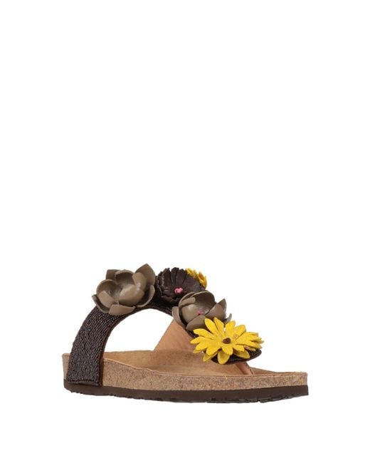 Maliparmi Brown Thong Sandal