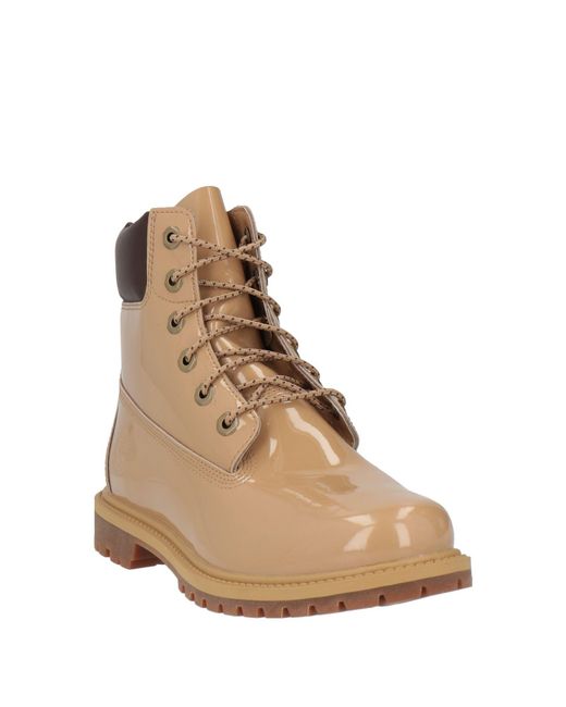 Timberland Brown Ankle Boots