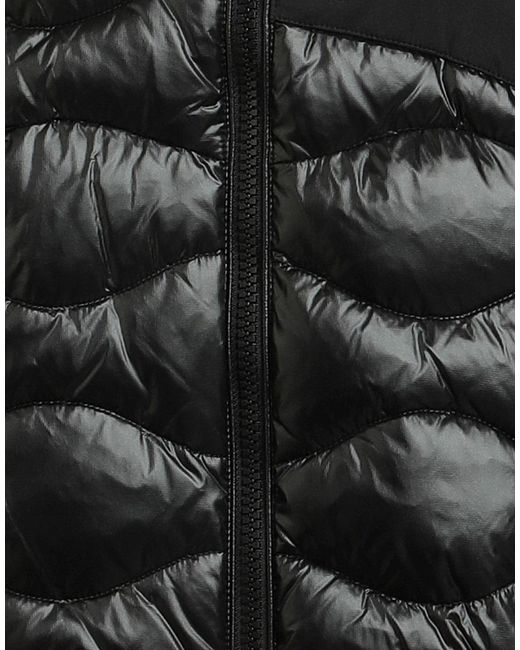 Blauer Black Puffer for men
