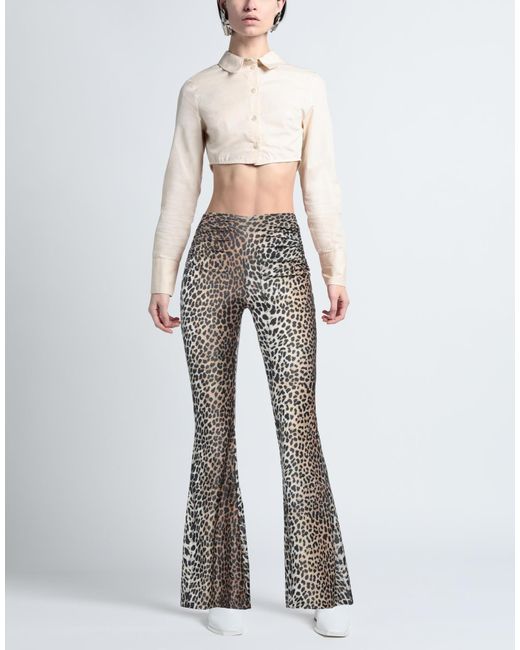Aniye By Gray Trouser