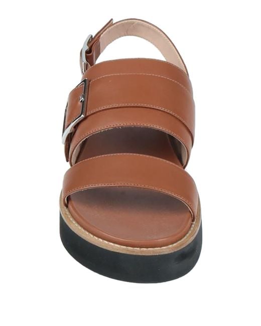Peserico Brown Sandals