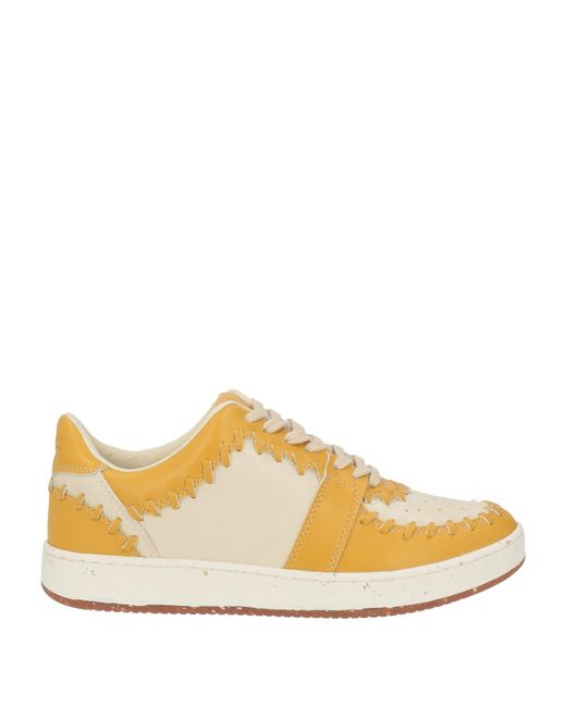Maliparmi Multicolor Trainers