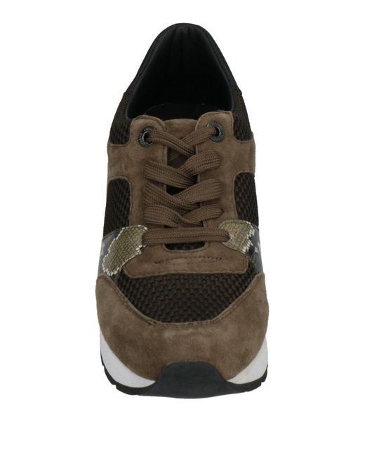 Longchamp Brown Trainers