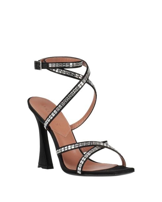 D'Accori Black Sandals