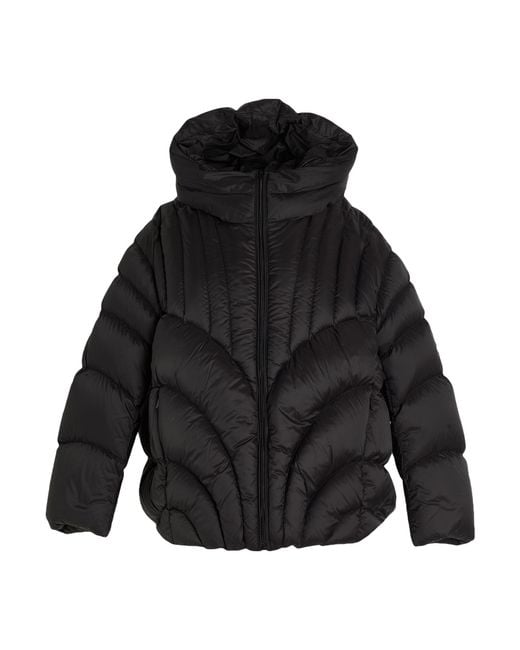 JNBY Black Puffer