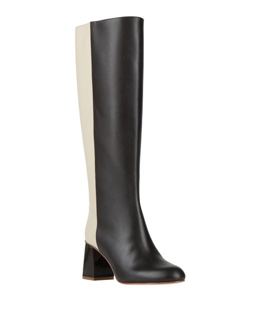 Gazzarrini Black Boot