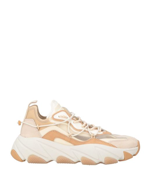 Ash Natural Sneakers