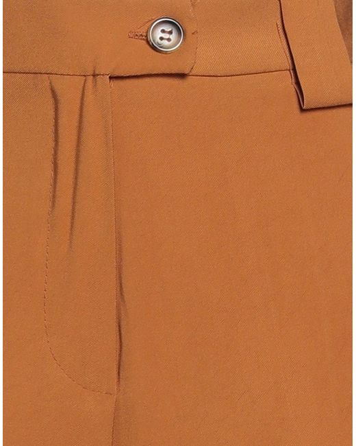 Siste's Brown Pants Viscose, Polyester