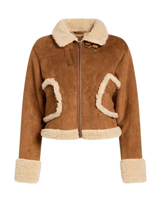Mother Brown Shearling & Teddy