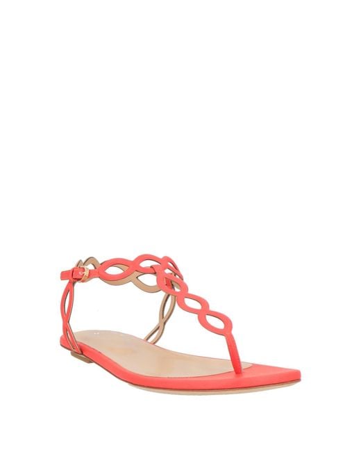 Sergio Rossi Red Thong Sandal Leather
