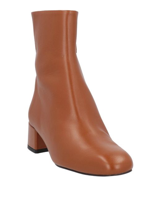 Souliers Martinez Brown Ankle Boots