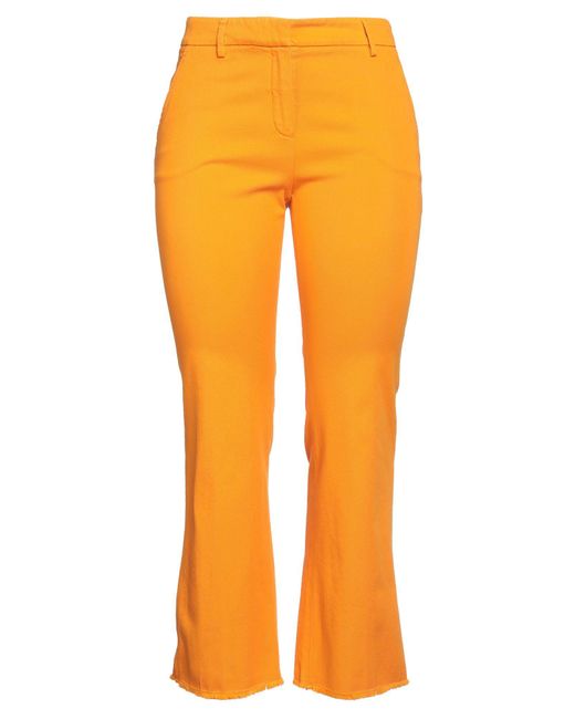 True Royal Orange Trouser