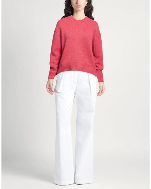Not Shy Pink Jumper