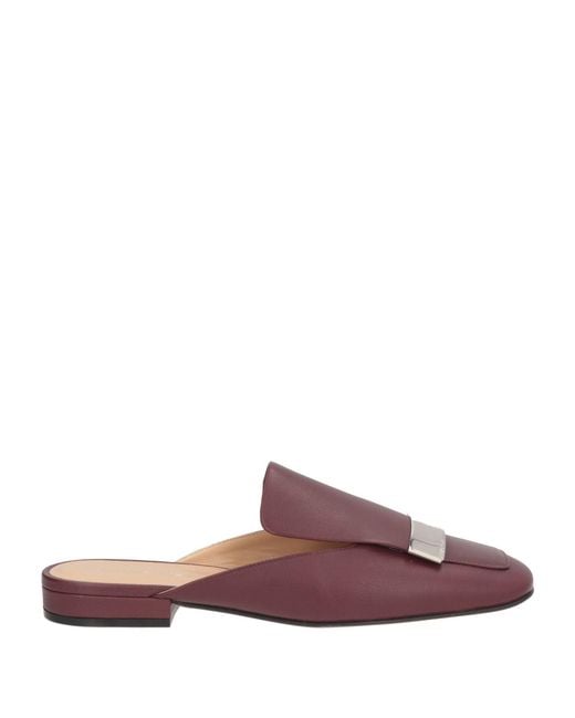 Sergio Rossi Brown Mules & Clogs