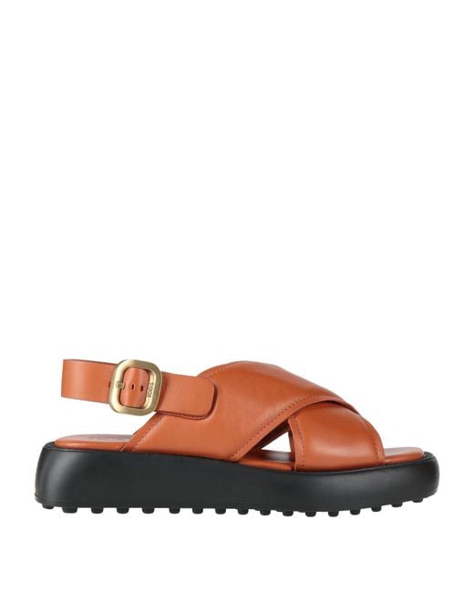 Tod's Brown Sandals